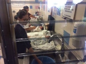 38645828_2158419527761831_2784301468339929088_n