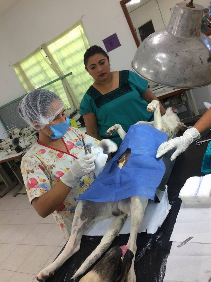 23131813 1936939916546361 2143573513178324051 n