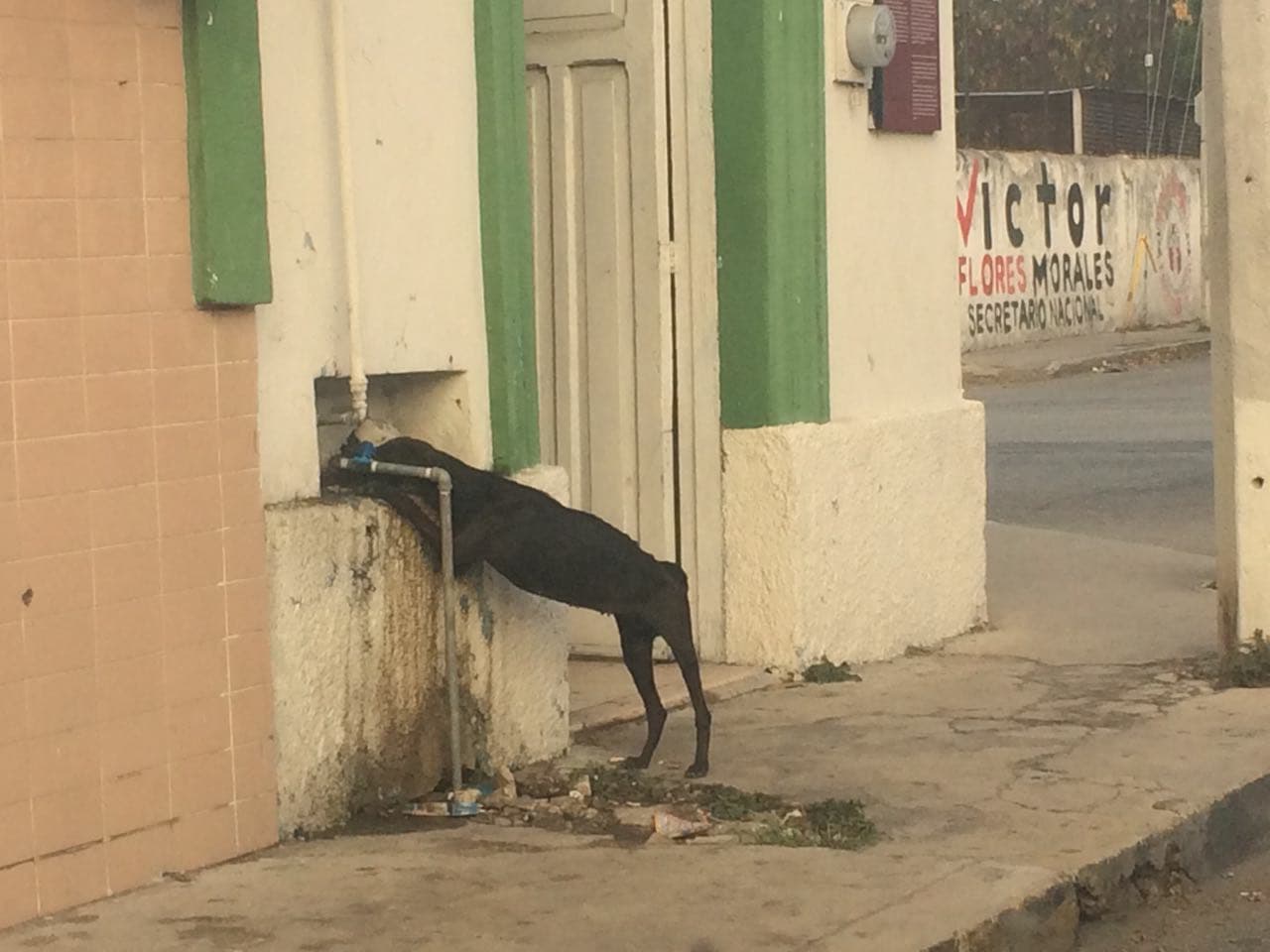 27265079 10204011679769098 1401011747 o