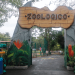 Captura de pantalla 2018 01 29 a la(s) 13.31.41