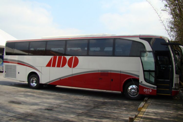 Bus 750x500