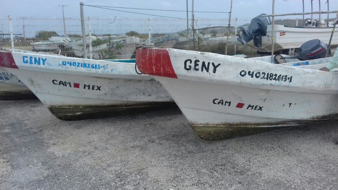 Embarcaciones clonadas