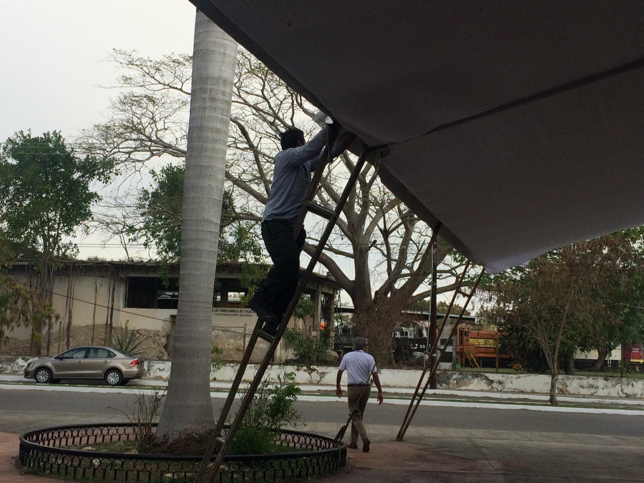 27746206 10204067855013444 862394199 o