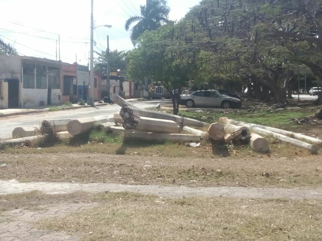 28461733 10204137511474812 1748227932 o