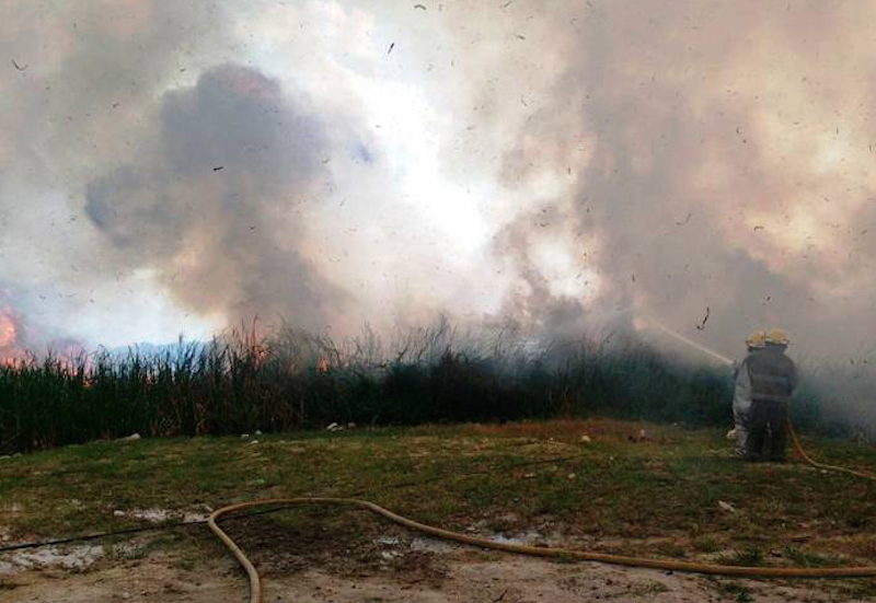Captura de pantalla 2018 02 24 a la(s) 14.45.54