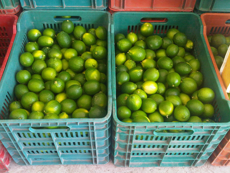 Alimentos limones