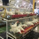 28640886 10204165567456194 38406752 o