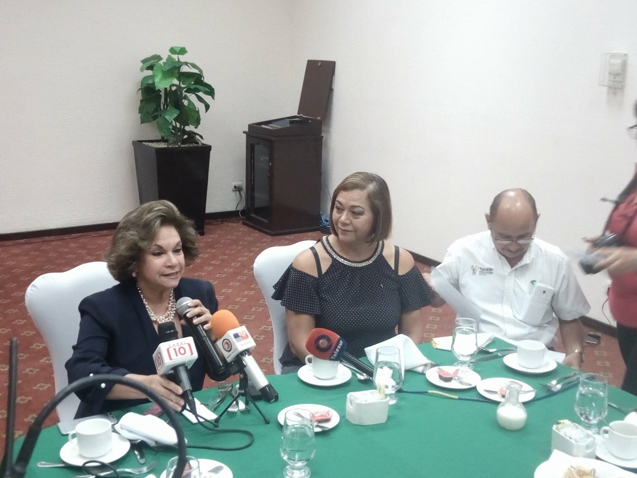 28943906 1600464463364915 1753425438 o