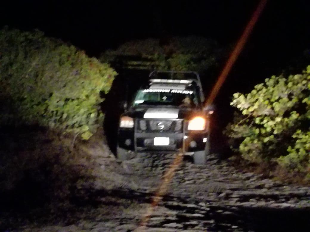 29314415 10204229085284100 5091833954479112192 o