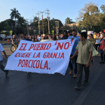 Captura de pantalla 2018 03 03 a la(s) 19.12.09