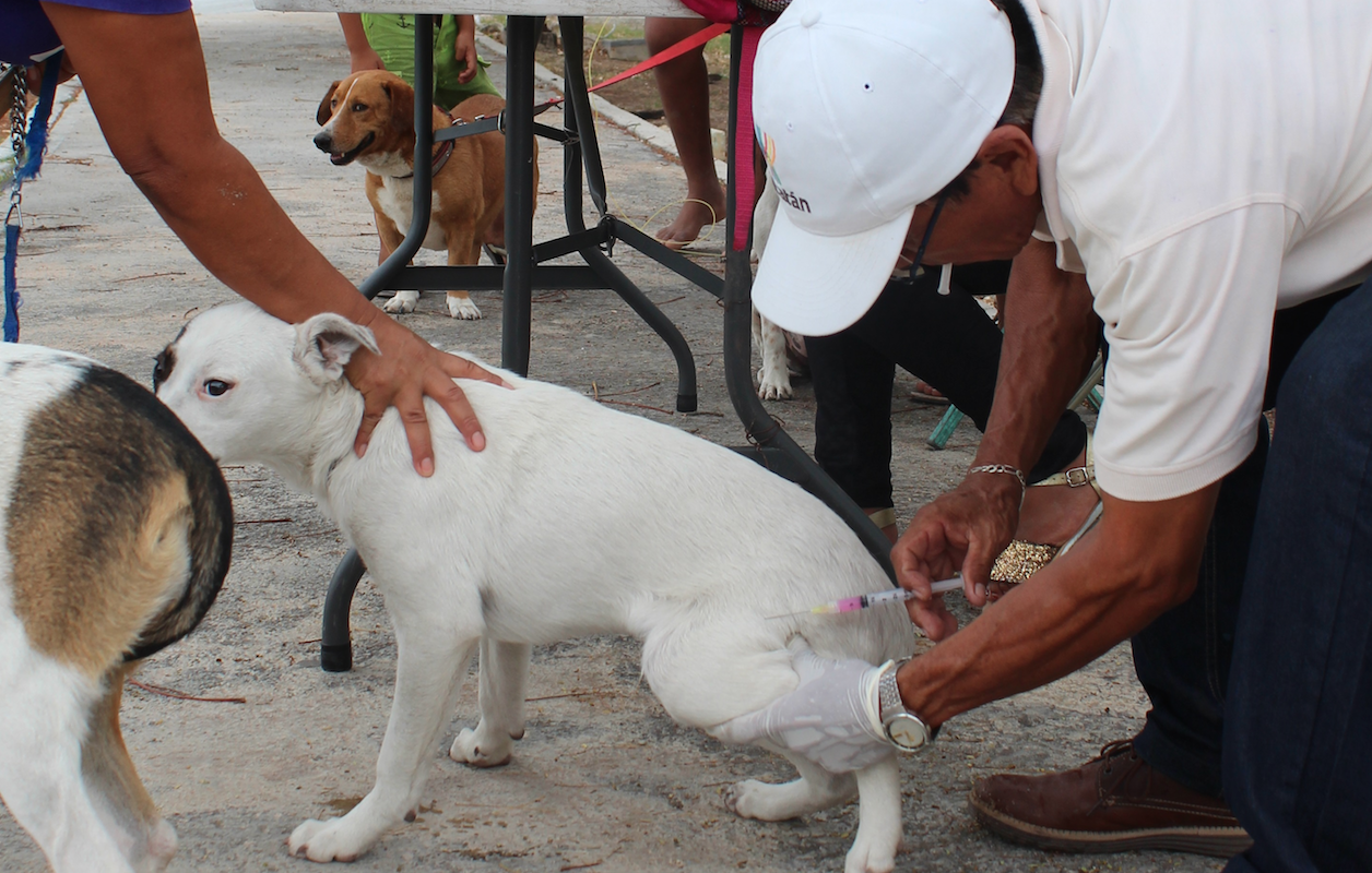 Captura de pantalla 2018 03 13 a la(s) 08.20.33