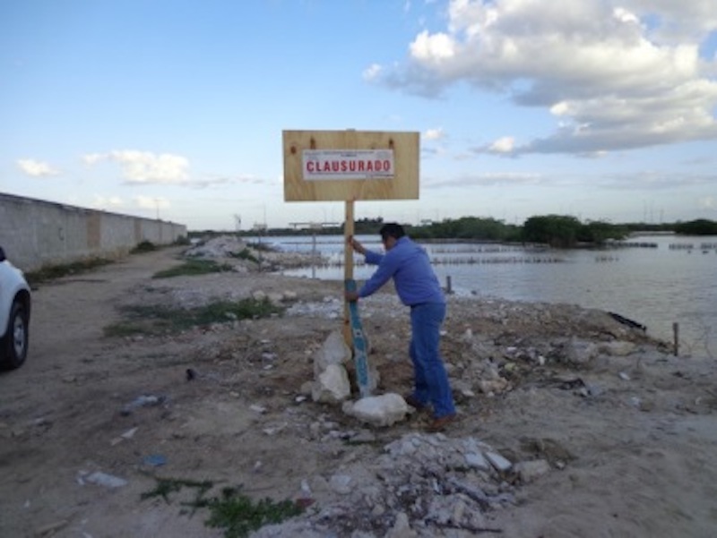 PROFEPA Clausura en Chicxulub Puerto 3 08mar18