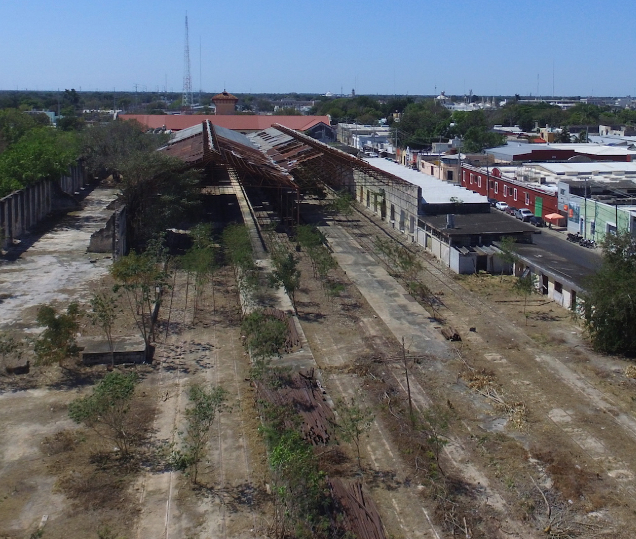 La placha 1 (1 de 1)