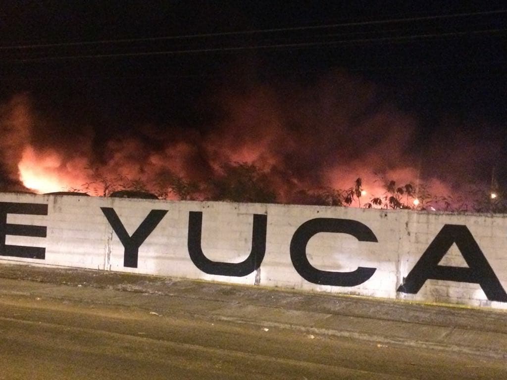 30074571 10204302487799117 1364584747 o