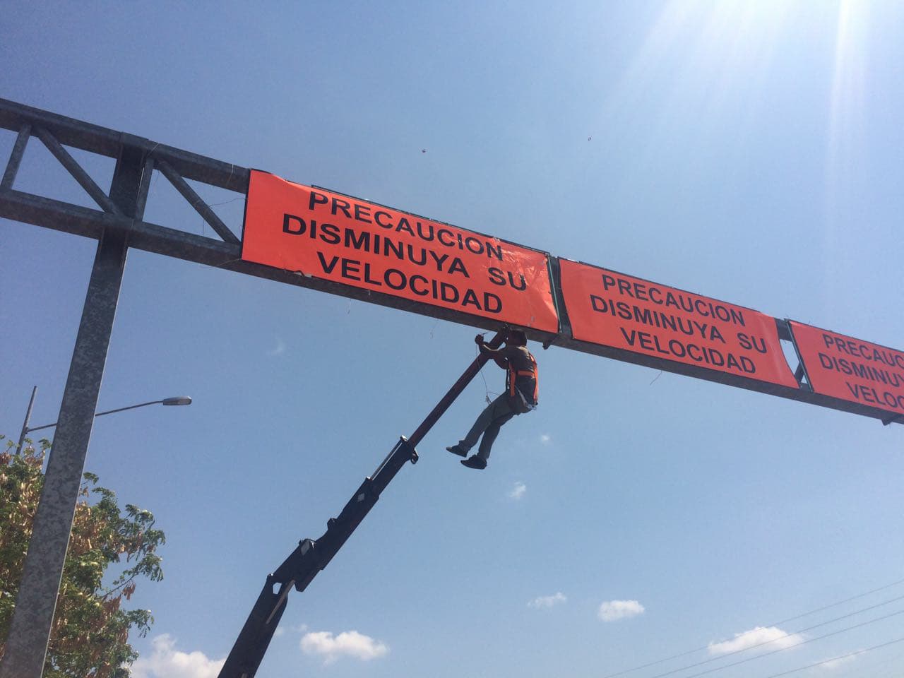 30571196 10204324231782703 2305067690307354624 o