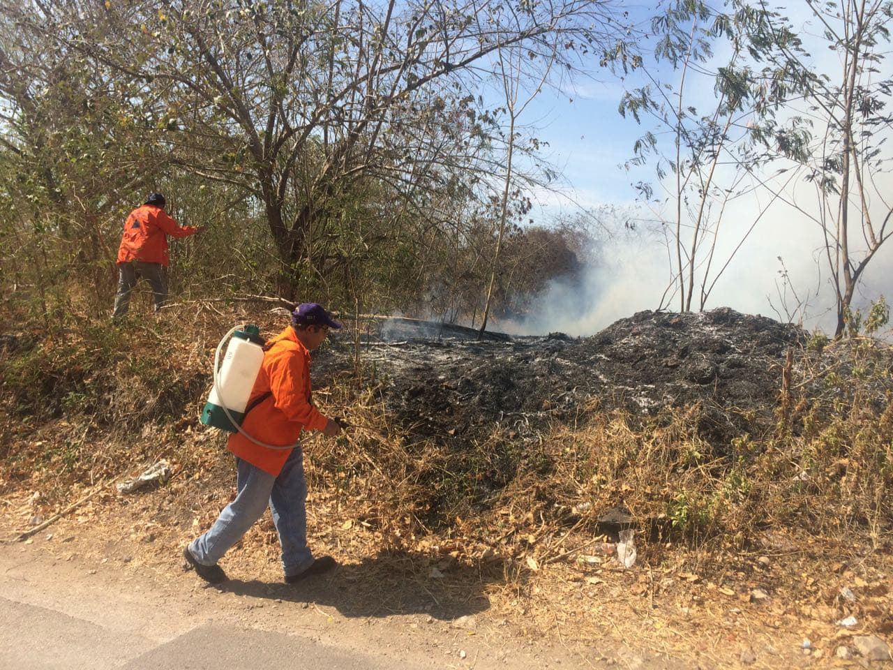 30629947 10204324568031109 6067729598773198848 o