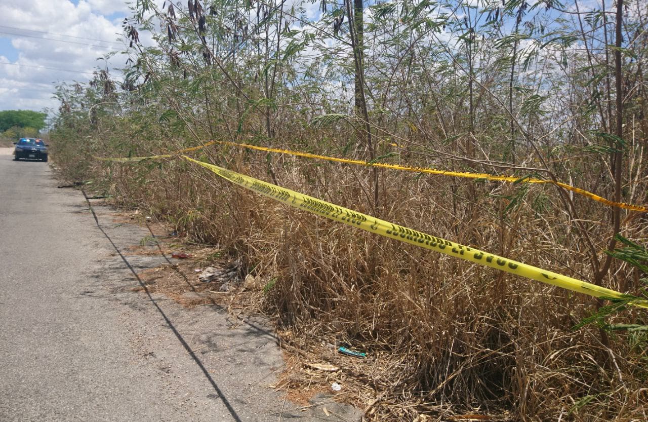 30657044 10204331415282286 848906316188483584 n