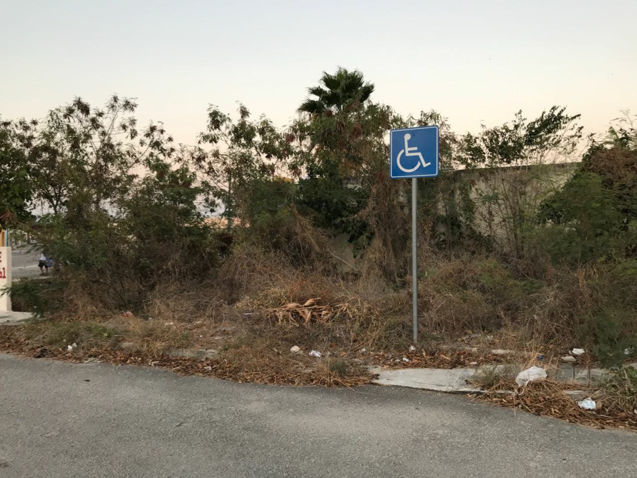 30703939 10204343926755065 4606995042261794816 n