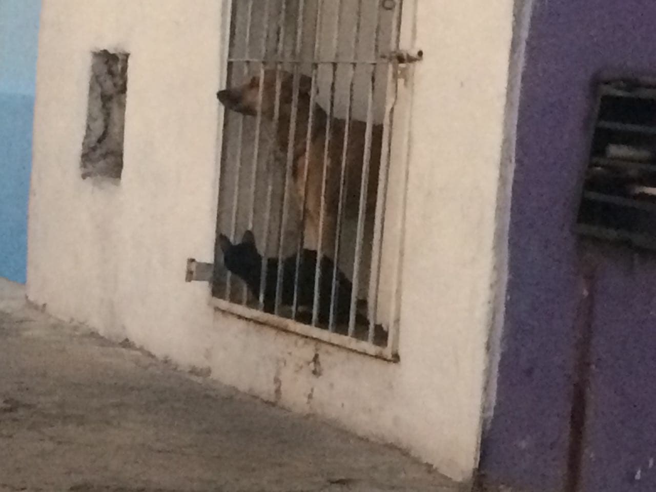 30704740 10204347183036470 1150903097610993664 n