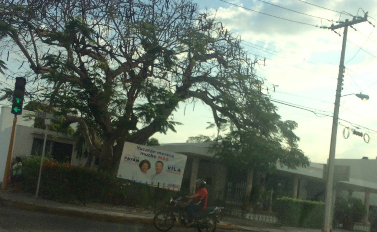 31154358 10204365151765677 606672016119955456 n