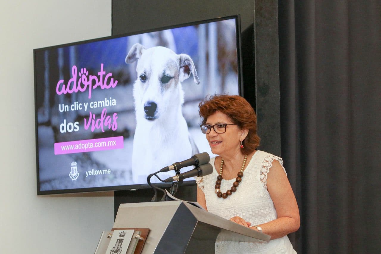 31179988 10204365827142561 3472878759902707712 n