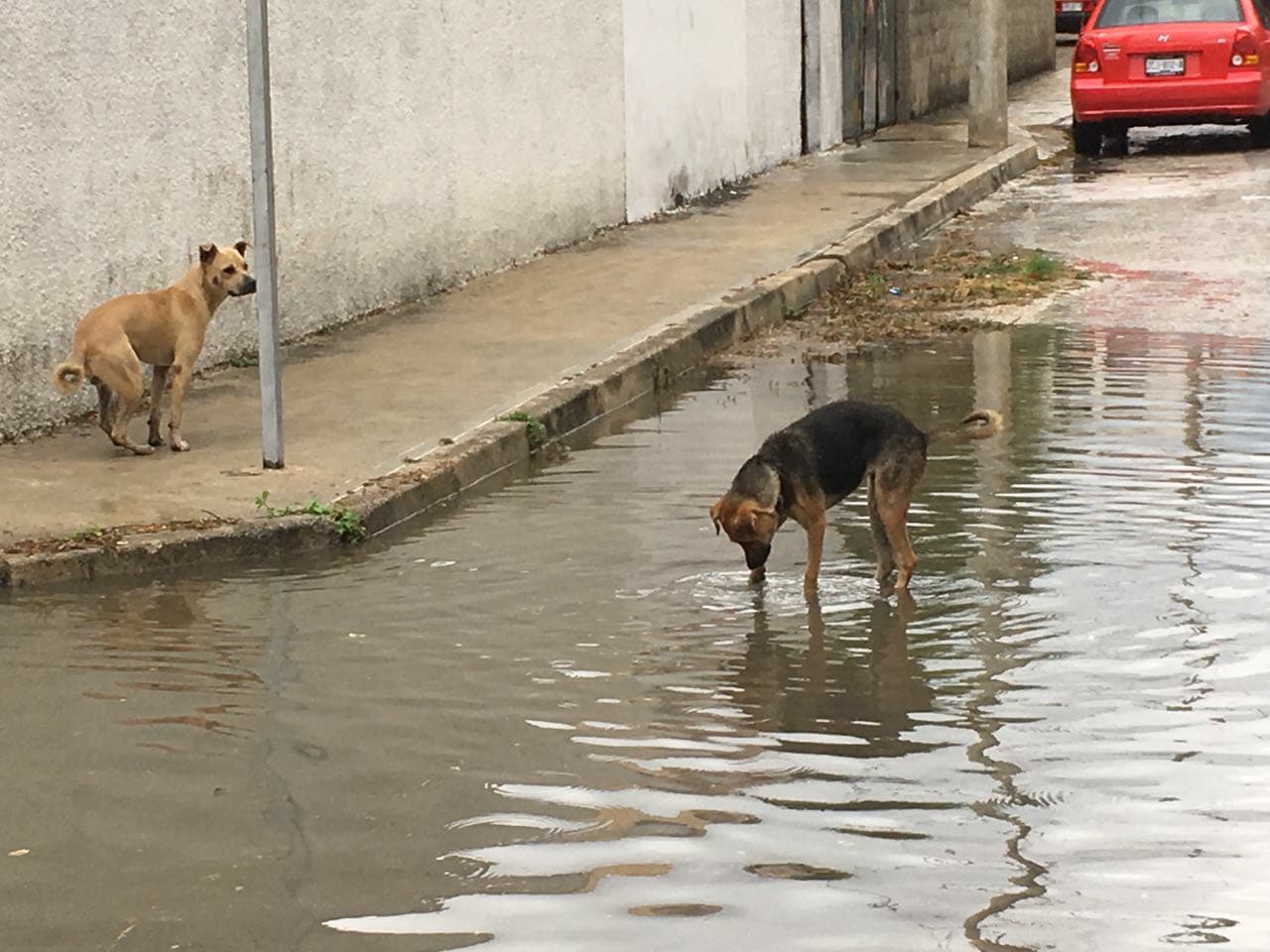 31225648 10204369064063482 5969581401261998080 n