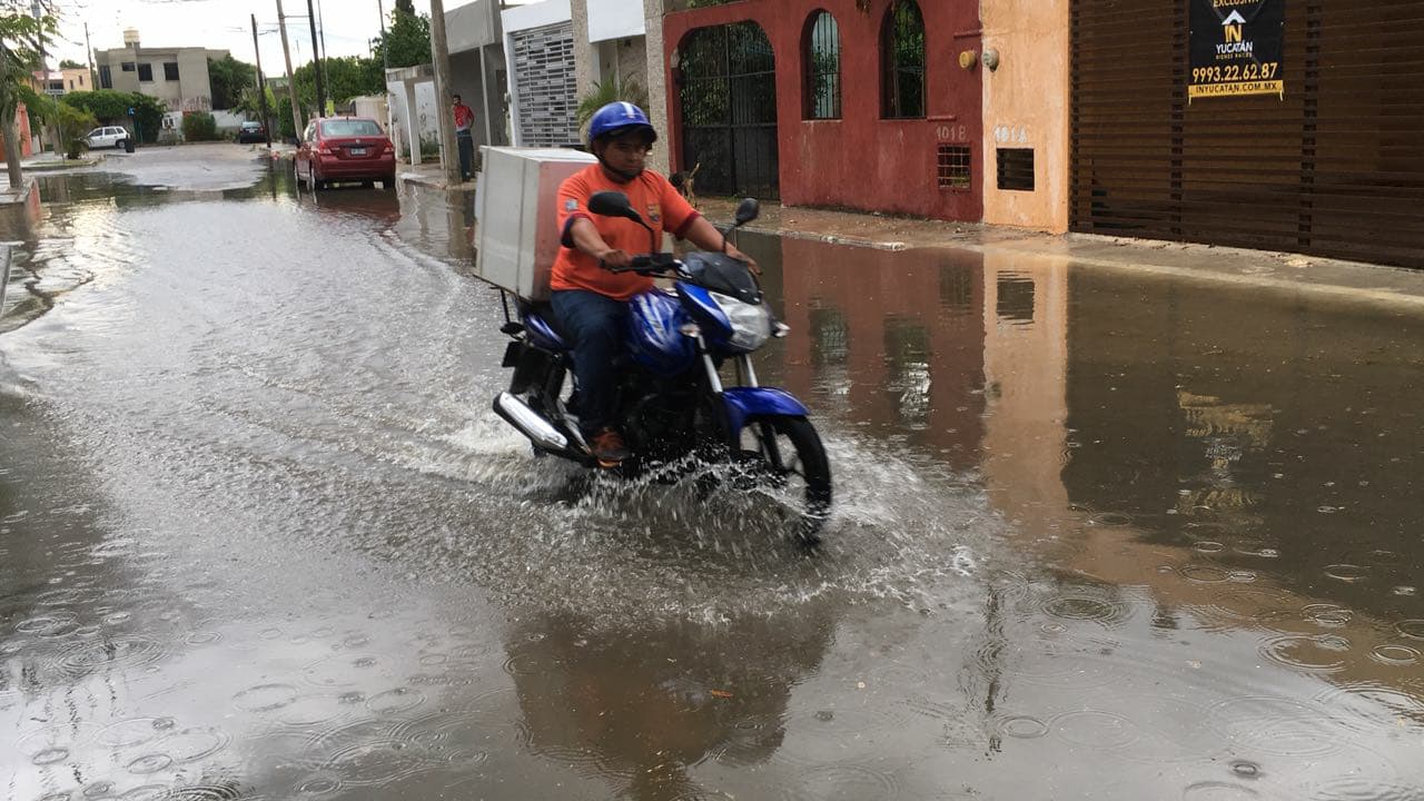 31290674 10204369063863477 1696533964778373120 n