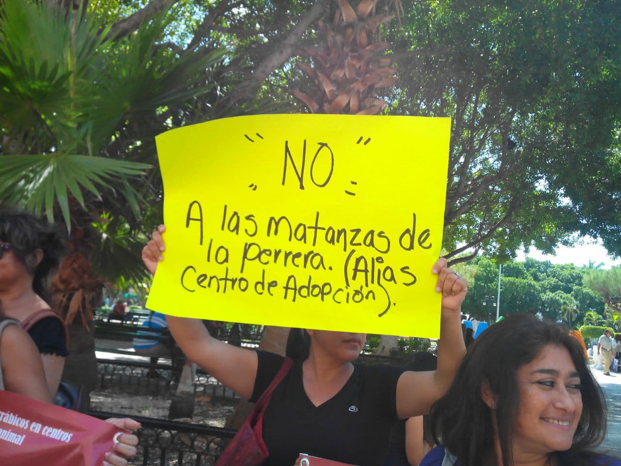 31416886 10204380683633964 8603055051369349120 n