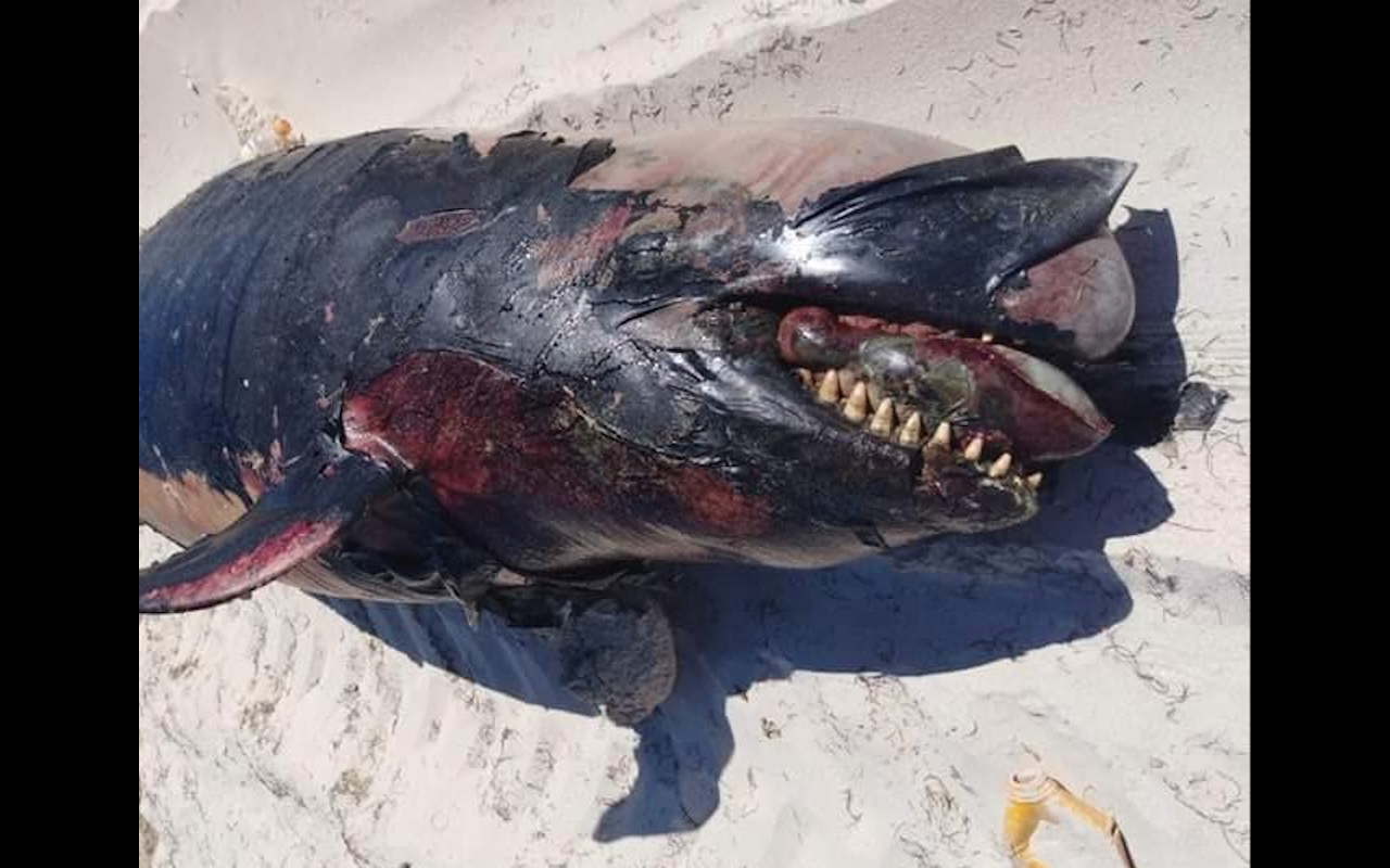 Captura de pantalla 2018 04 10 a la(s) 18.44.24