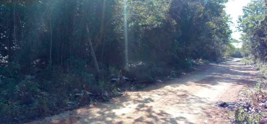 Captura de pantalla 2018 04 17 a la(s) 09.20.28