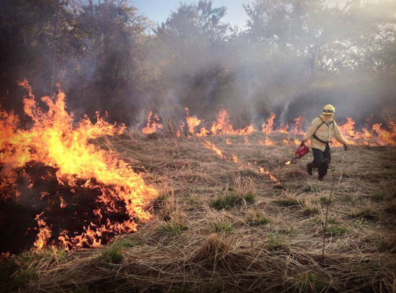 Captura de pantalla 2018 04 19 a la(s) 08.40.23