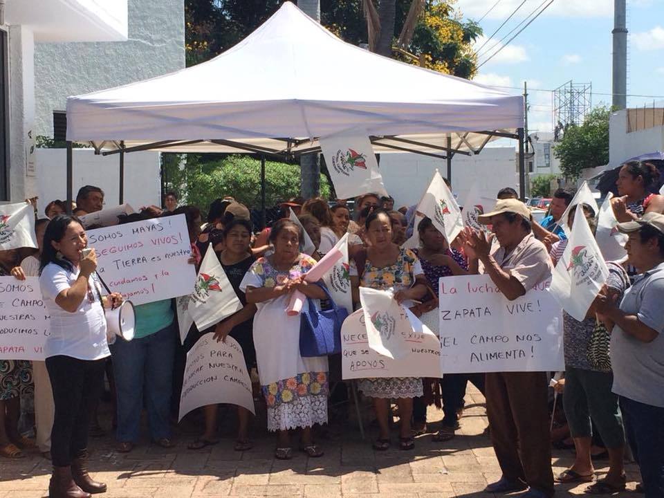 31588496 10156099158376539 7987630510375436288 n