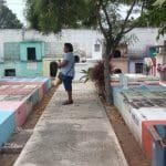 32169229 1654375081307186 6989127940646633472 n