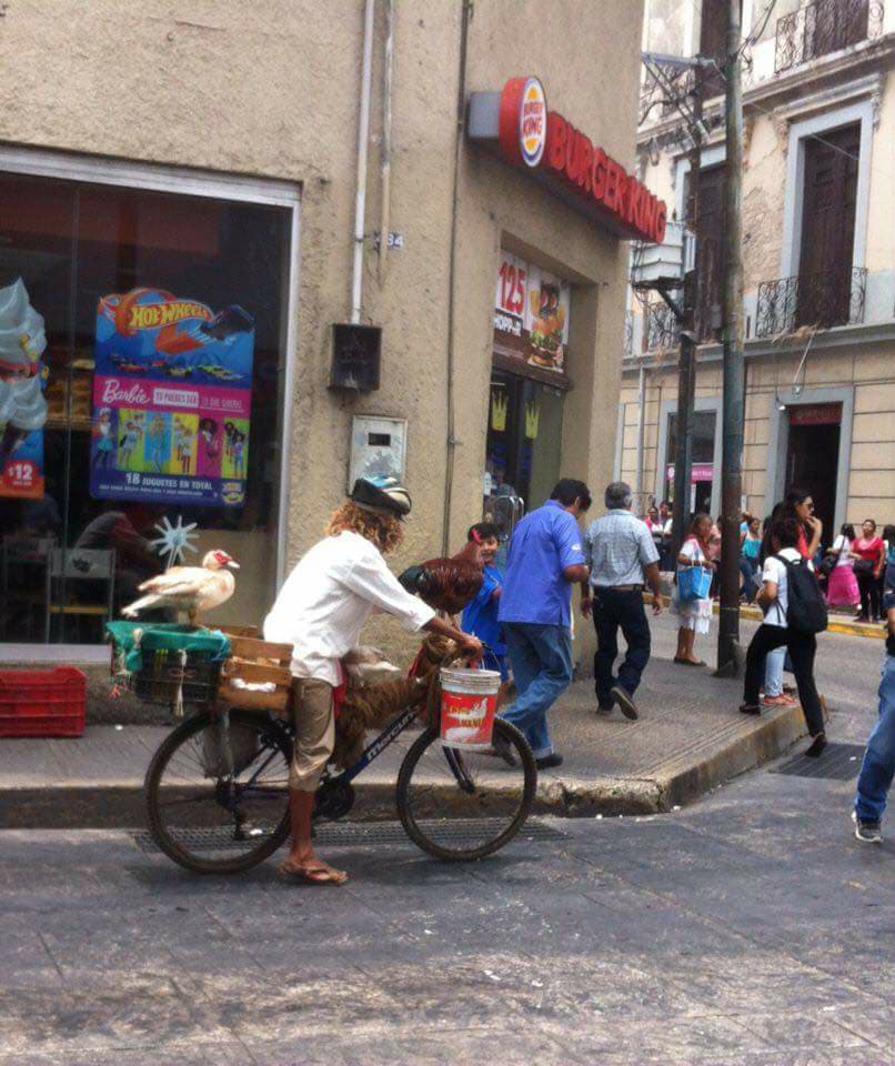 32337044 10204426771906142 1653011399015661568 n