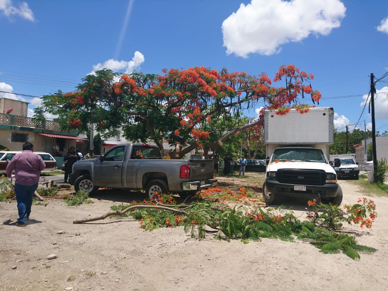 32935278 10204447338660298 5648534593045790720 n