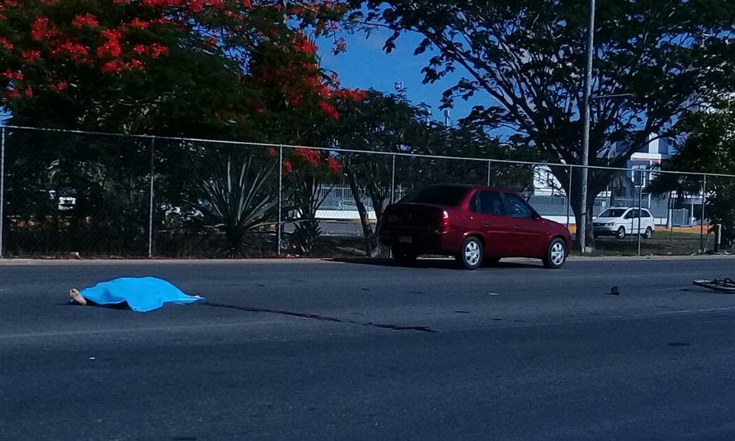 33097380 10204456008557040 1564229906701746176 n