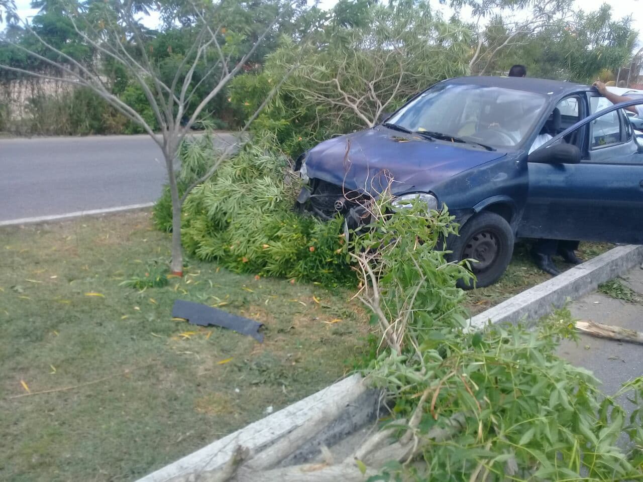 33346668 10204463467543510 5938546714905411584 n