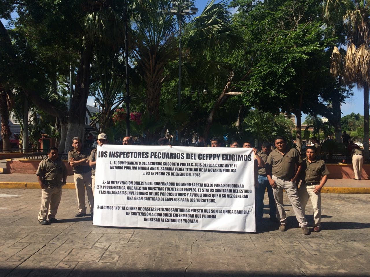 33527091 10204482377696252 6874842000521166848 n