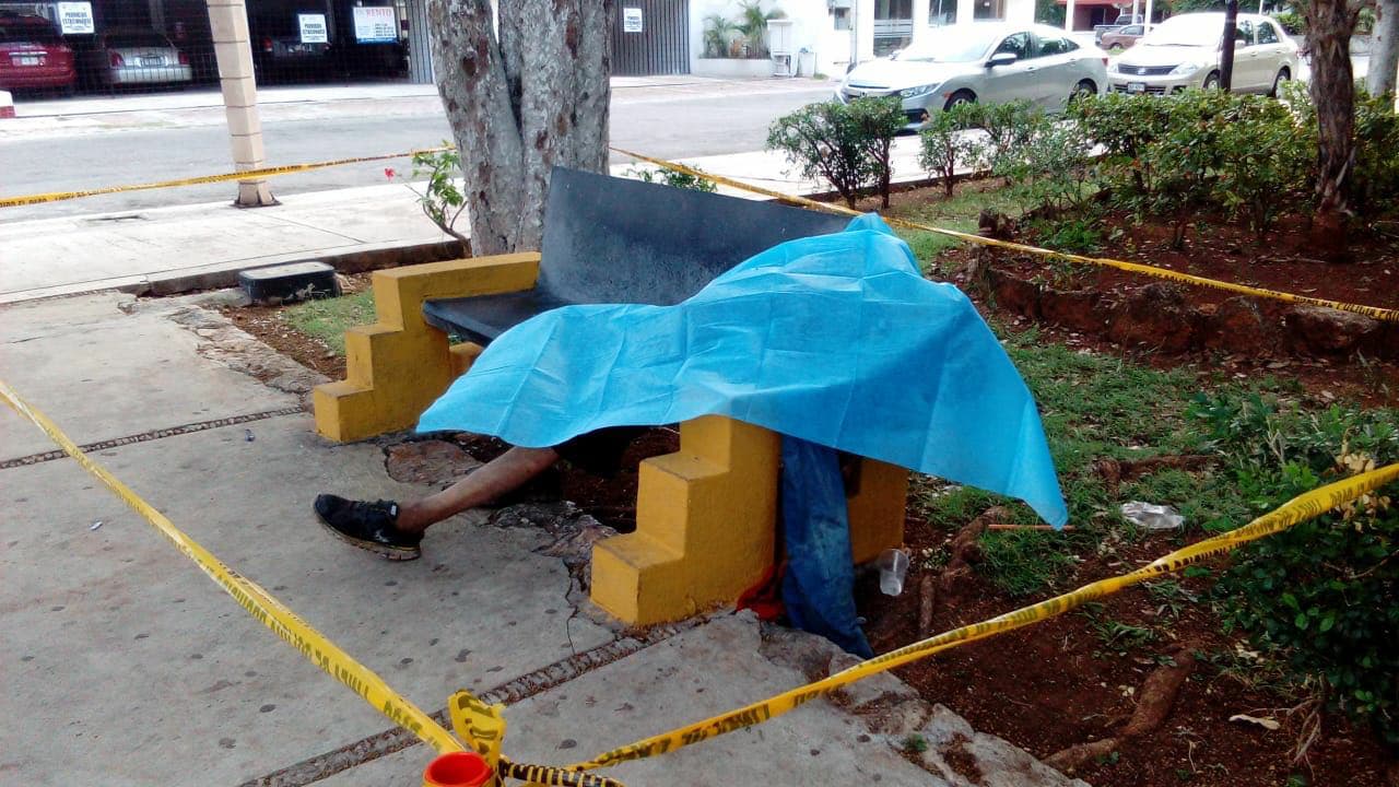 33619144 10204469095964217 8459718210151776256 n