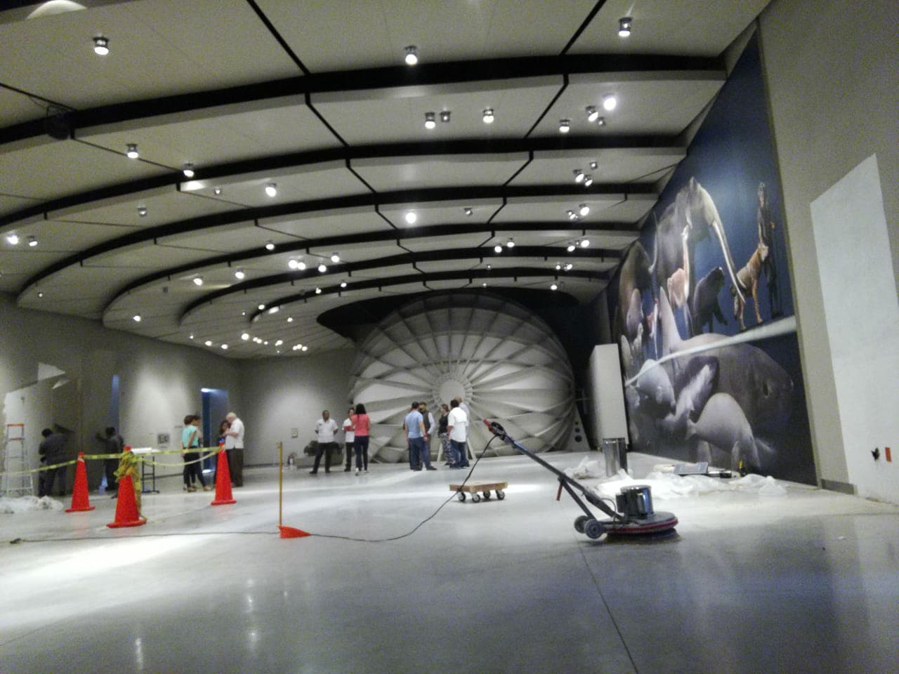 34091858 10204482736345218 302151632173400064 n