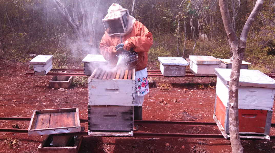 Captura de pantalla 2018 01 31 a las 13.06.27