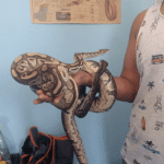 Captura de pantalla 2018 05 05 a la(s) 08.48.58