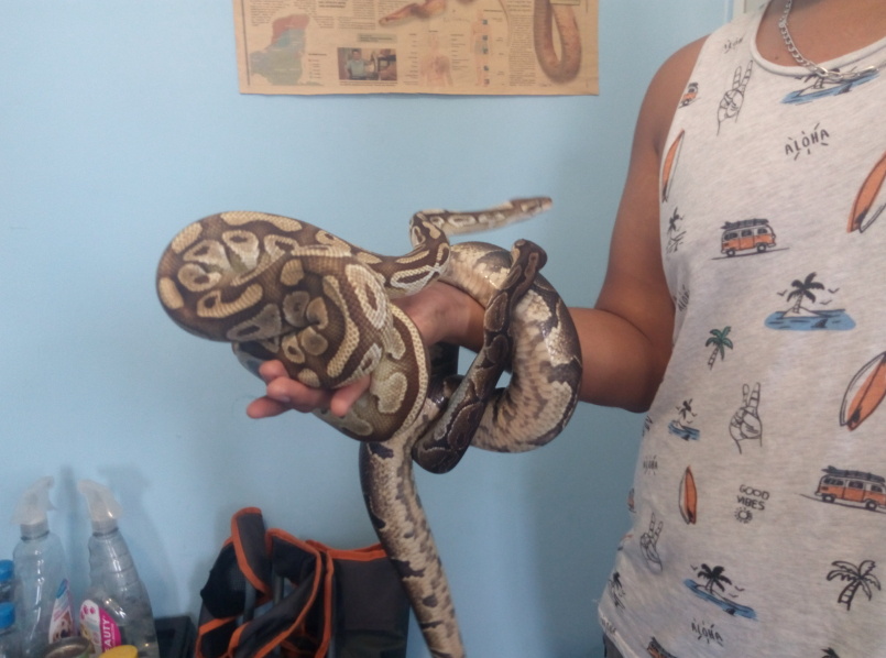 Captura de pantalla 2018 05 05 a la(s) 08.48.58