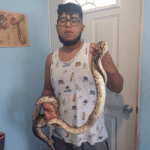 Captura de pantalla 2018 05 05 a la(s) 08.49.12