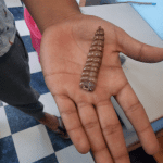 Captura de pantalla 2018 05 05 a la(s) 08.49.25