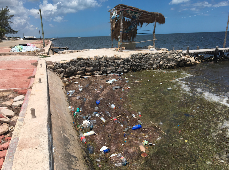 Captura de pantalla 2018 05 18 a la(s) 12.09.41