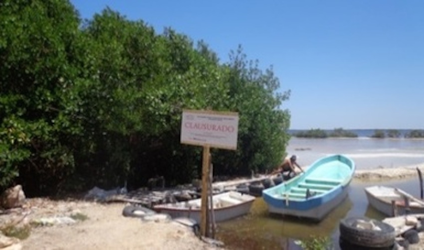 Post PROFEPA Clausura de predio en Yucat n