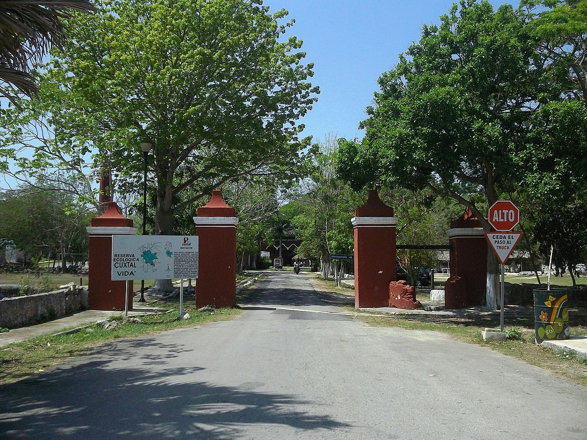 1200px Dzoyaxché (Mérida), Yucatán (06)