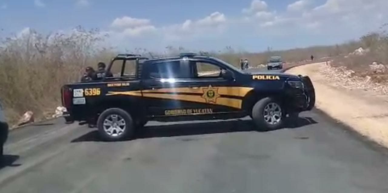 30127940 10204311340300424 2659040662707503104 o