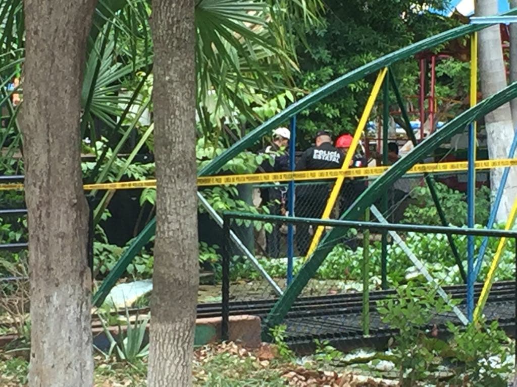 34214929 10204493376451214 556449103806988288 n